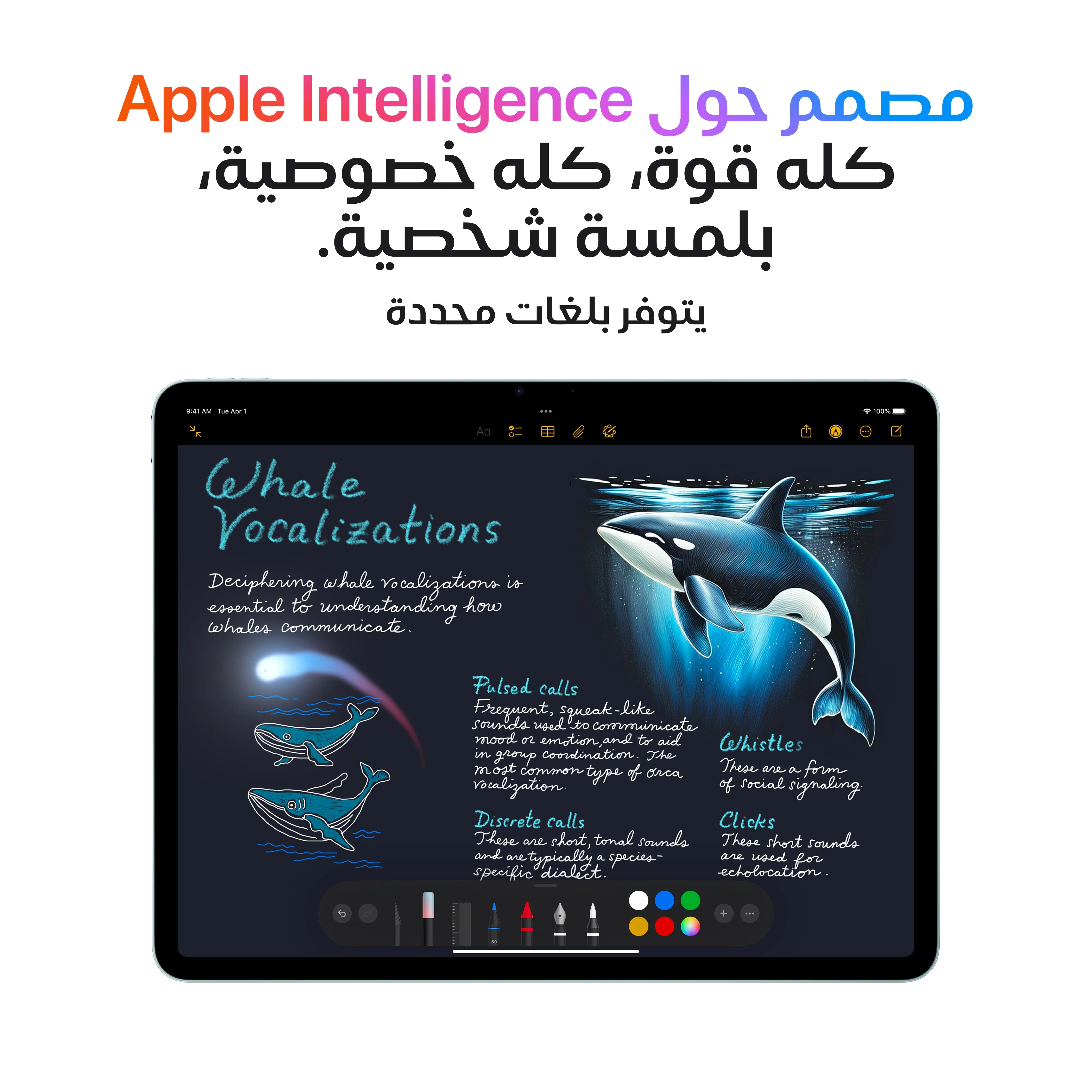 11-inch iPad Air Wi-Fi + Cellular 256GB - أزرق (M3) - Image 5