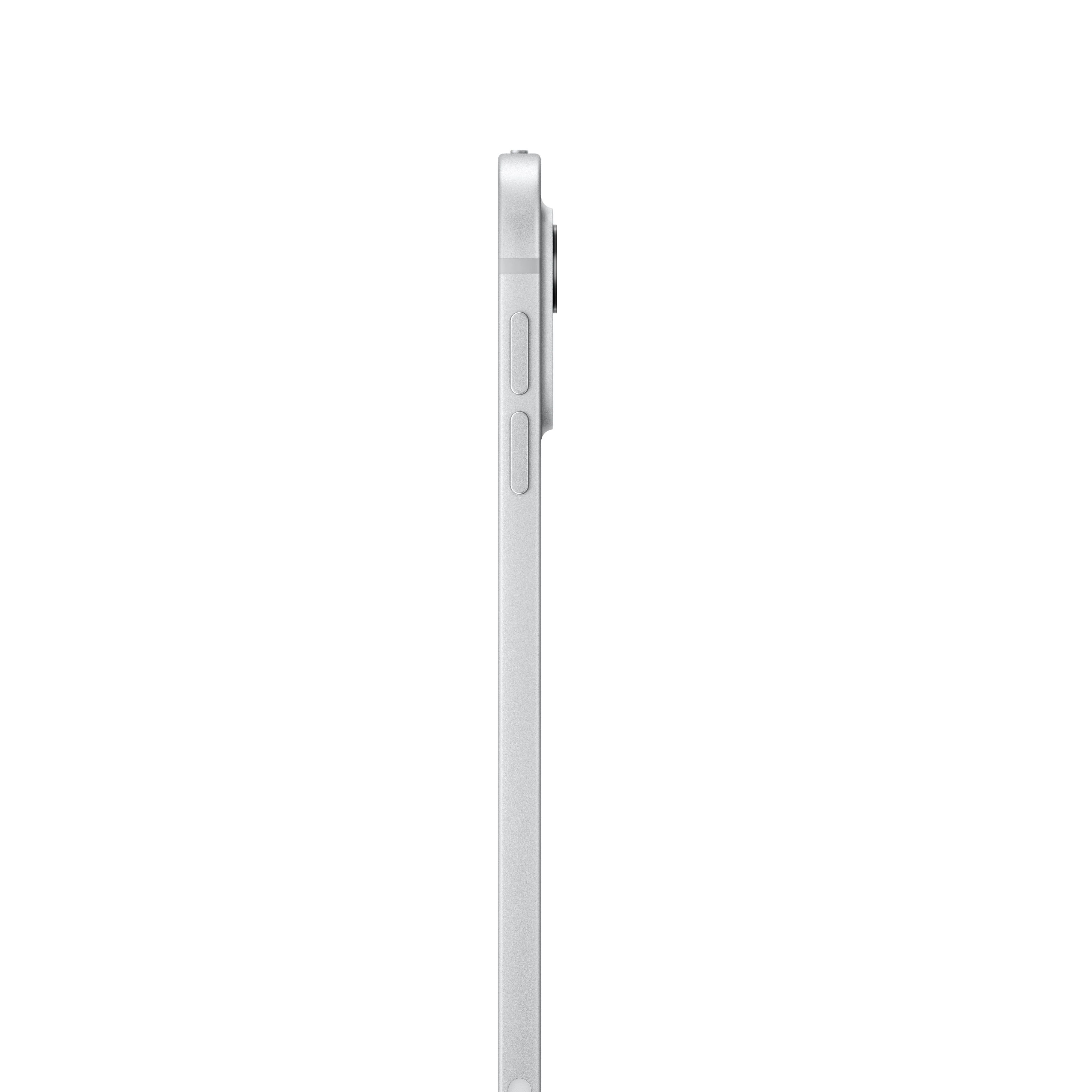 11-inch iPad Pro Wi-Fi 2TB Standard Glass - فضي (M4) - Image 3